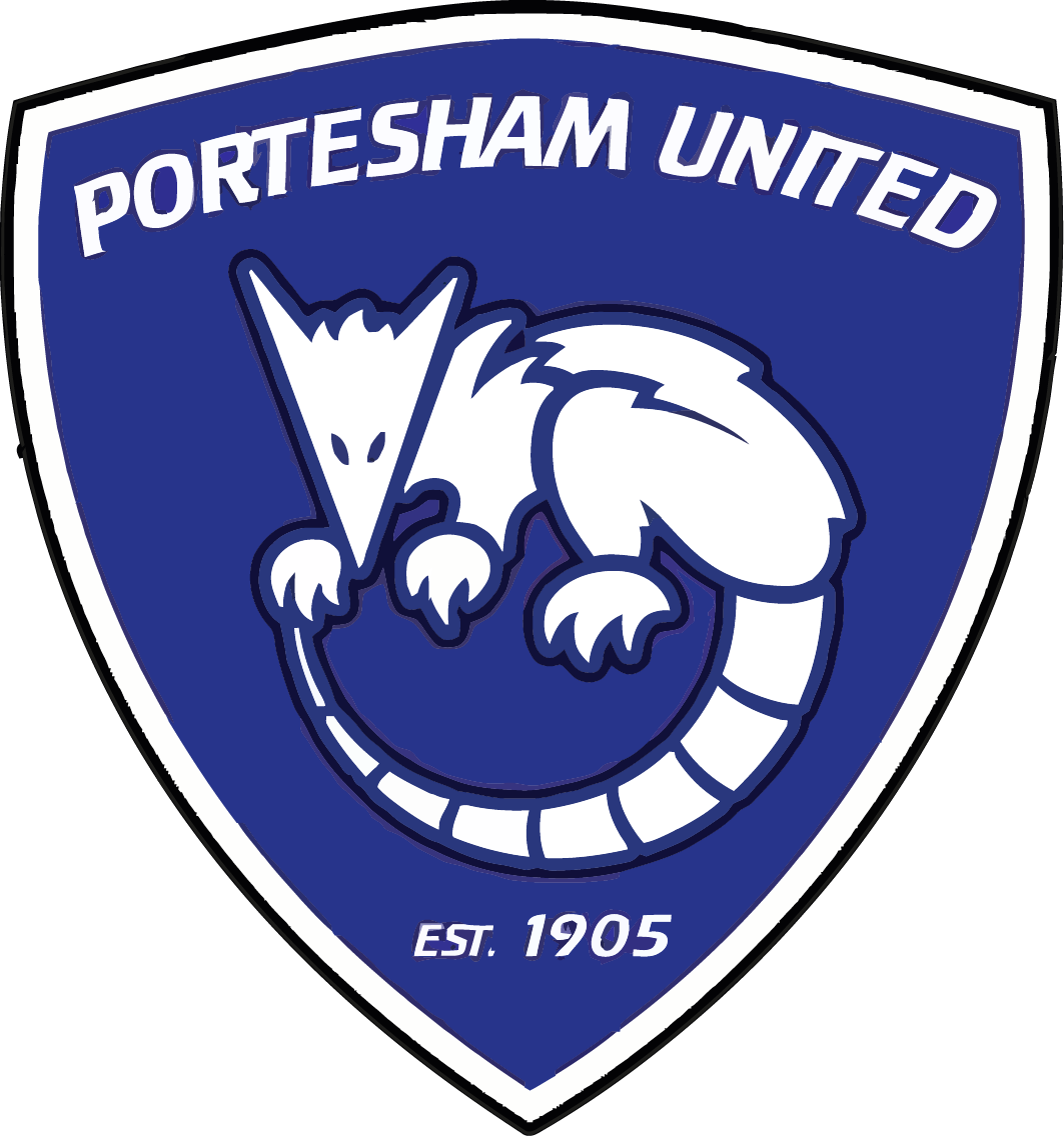 Surridge 1/4 Zip Dual Performance Top (Portesham Utd FC)