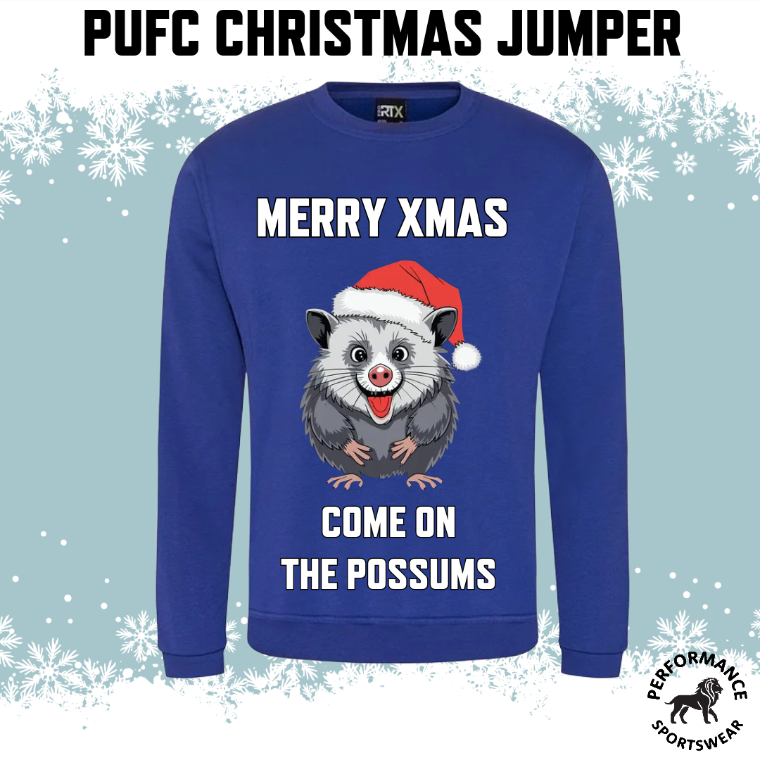 Own Team Christmas Jumper